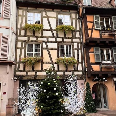 Les Suites Du Cygne Colmar Zewnętrze zdjęcie