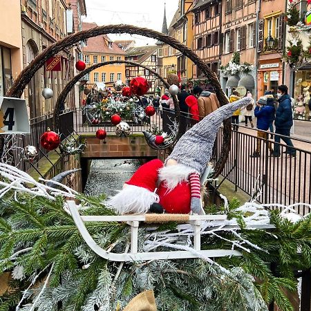 Les Suites Du Cygne Colmar Zewnętrze zdjęcie