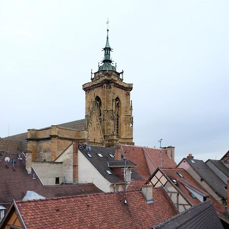 Les Suites Du Cygne Colmar Zewnętrze zdjęcie