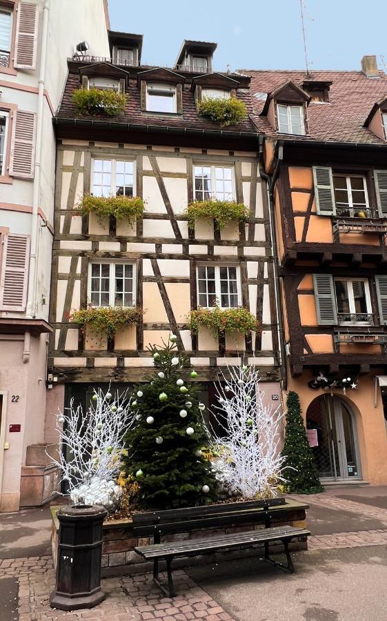 Les Suites Du Cygne Colmar Zewnętrze zdjęcie