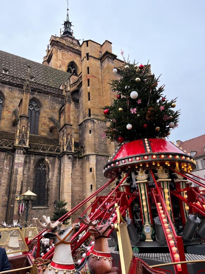 Les Suites Du Cygne Colmar Zewnętrze zdjęcie