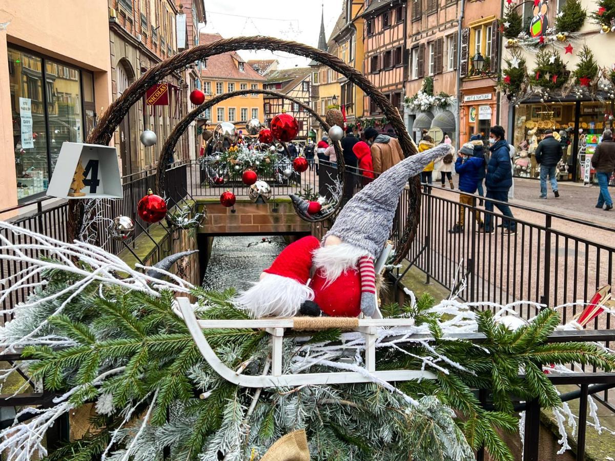 Les Suites Du Cygne Colmar Zewnętrze zdjęcie