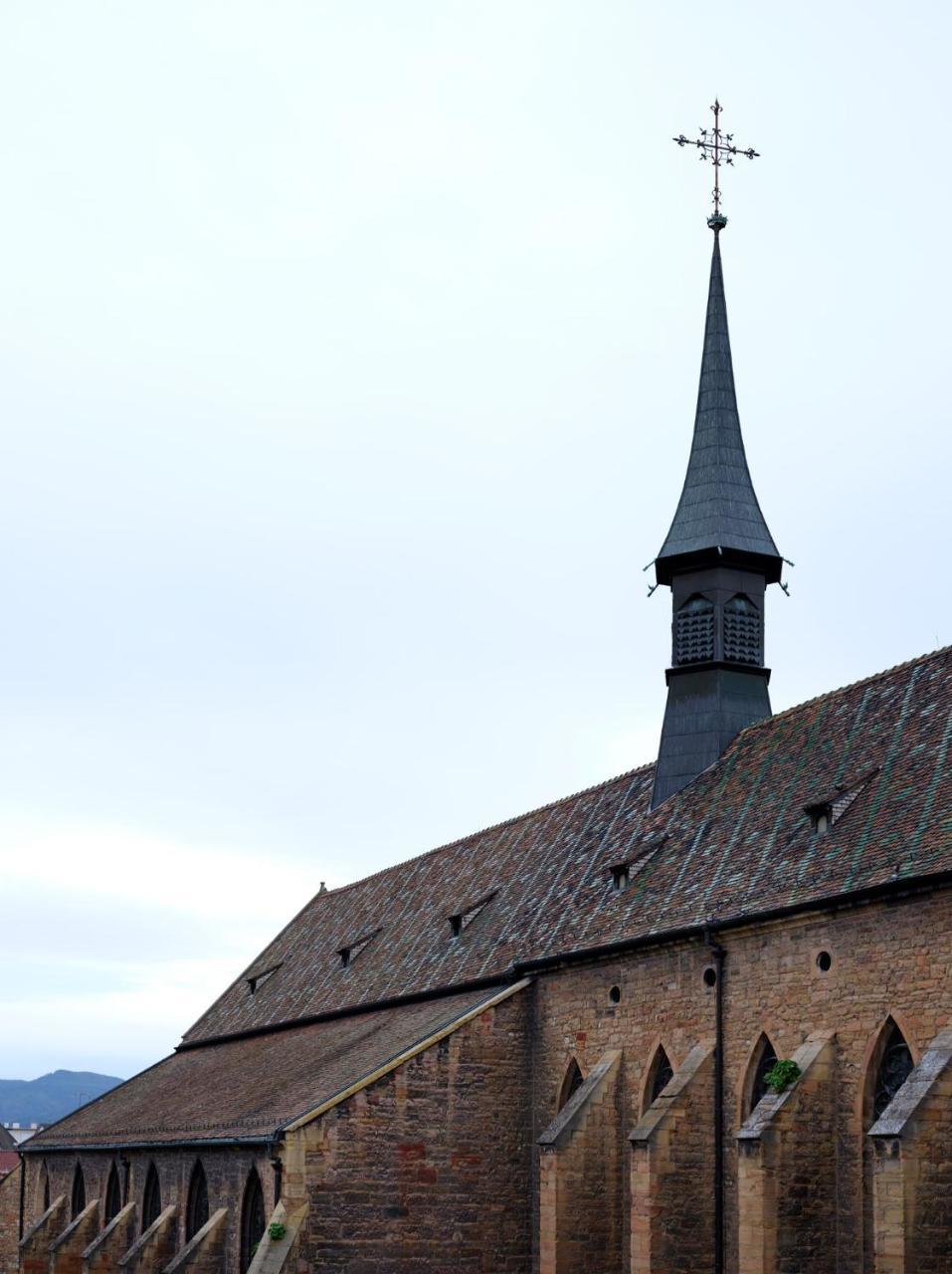 Les Suites Du Cygne Colmar Zewnętrze zdjęcie