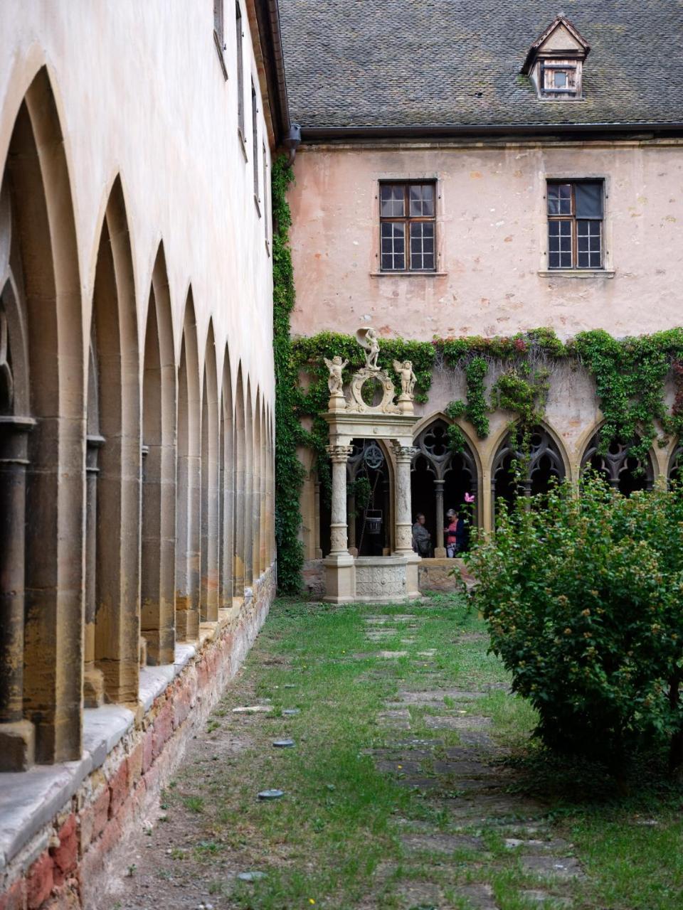 Les Suites Du Cygne Colmar Zewnętrze zdjęcie