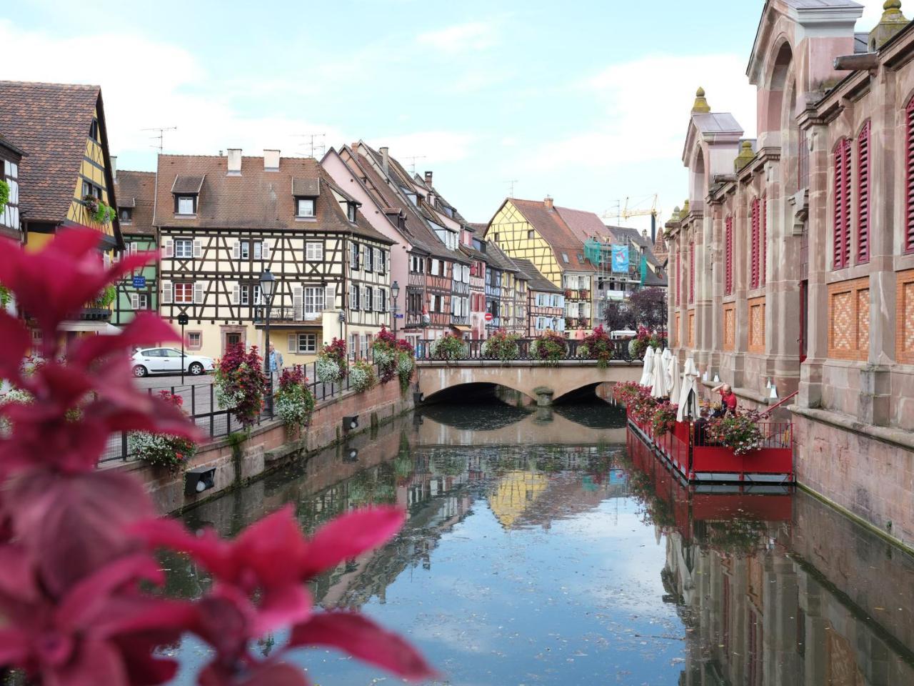 Les Suites Du Cygne Colmar Zewnętrze zdjęcie